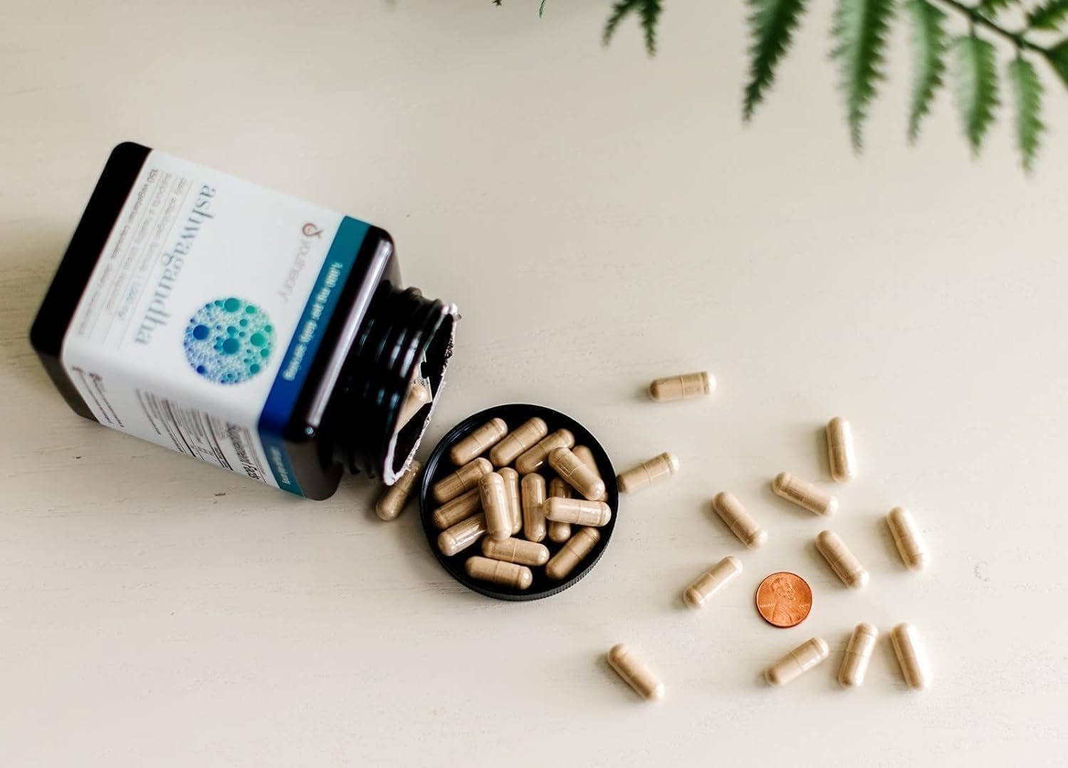 Organic Ashwagandha Supplement | Organic KSM-66 Ashwagandha | 180 Vegetarian Capsules | 1000mg Daily Serving | Helps Support Stress Management & Relaxation | Boosts Energy & Focus | Vegan and Non GMO