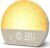 KEPLUG Sunrise Alarm Clock Sound Machine with Dual Alarm for Heavy Sleepers
